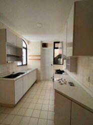 Tanglin Park (D10), Condominium #456927021
